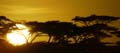 Sunrise in Tanzania
